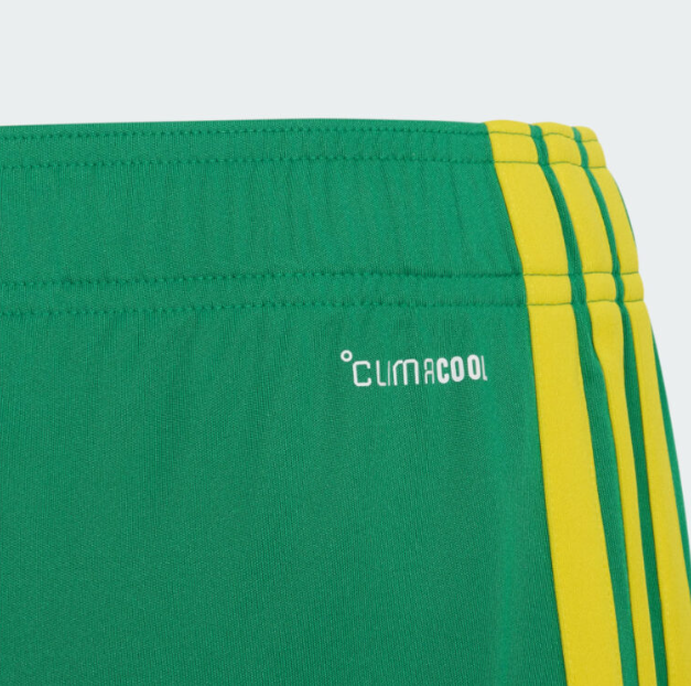 2026 South African Football Home Replica Shorts
